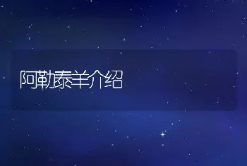 农户养好奶牛的关键措施