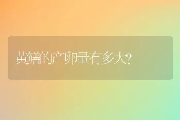 墨西哥红蝎尾蕉、希特竭尾蕉与硬毛蝎尾蕉的介绍