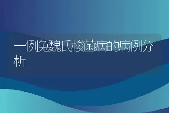 一例兔魏氏梭菌病的病例分析