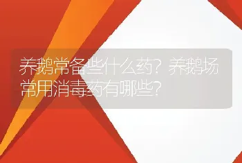 养鹅常备些什么药？养鹅场常用消毒药有哪些？