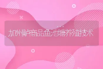 加州鲈商品鱼池塘养殖技术