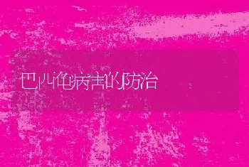 巴西龟病害的防治