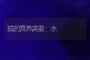 狐的营养需要：水