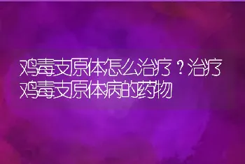 鸡毒支原体怎么治疗？治疗鸡毒支原体病的药物