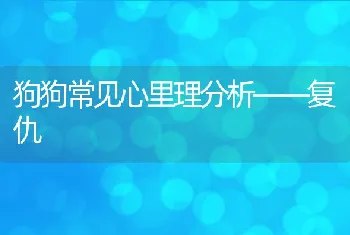 狗狗常见心里理分析——复仇