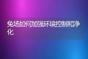 兔场如何加强环境控制和净化