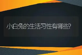 猪场“5号”病，真的无药可救了吗?