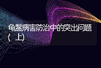 龟鳖病害防治中的突出问题(上)