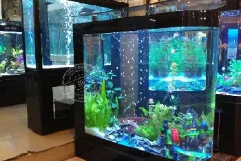 水族教学：鱼缸换水及水质处理