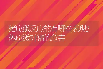 猪应激反应的有哪些表现？热应激对猪的危害