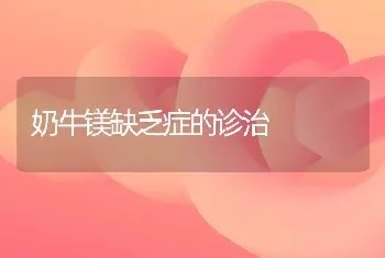 奶牛镁缺乏症的诊治