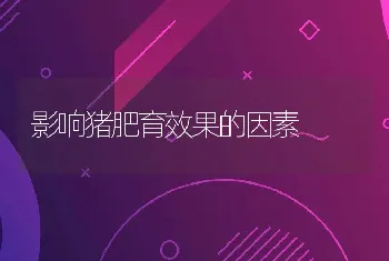 鲑鳟鱼传染性造血组织坏死病