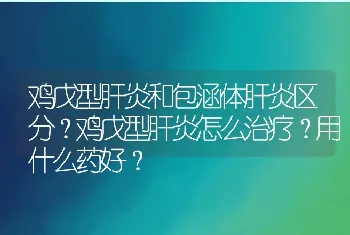 鸡戊型肝炎和包涵体肝炎区分？鸡戊型肝炎怎么治疗？用什么药好？