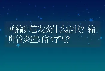 鸡输卵管发炎什么症状？输卵管炎症好治疗吗？