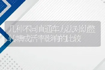 几种不同直通车方法对幼鳖转塘成活率影响的比较