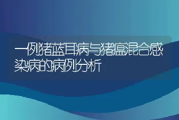 一例猪蓝耳病与猪瘟混合感染病的病例分析