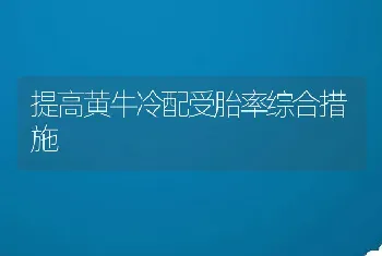 提高黄牛冷配受胎率综合措施