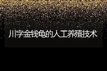 川字金钱龟的人工养殖技术