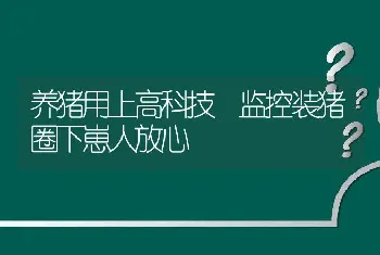 养猪用上高科技 监控装猪圈下崽人放心