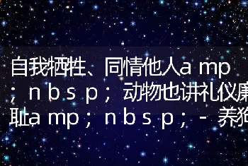 自我牺牲、同情他人amp;动物也讲礼仪廉耻amp;-养狗常识