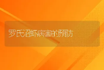 罗氏沼虾病害的预防