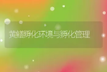 羊羔痢疾用什么药?羊羔痢疾治疗秘方