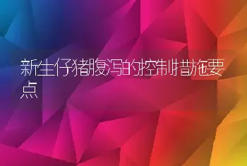 新生仔猪腹泻的控制措施要点