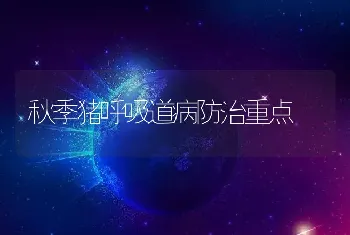 秋季猪呼吸道病防治重点