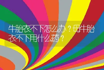 牛胎衣不下怎么办？母牛胎衣不下用什么药？