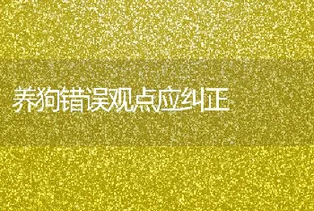 养狗错误观点应纠正