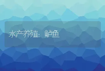 水产养殖：鲈鱼