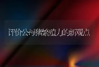 评价公母猪繁殖力的新观点