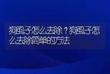 狗虱子怎么去除？狗虱子怎么去除简单的方法