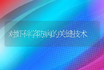 对虾科学防病的关键技术