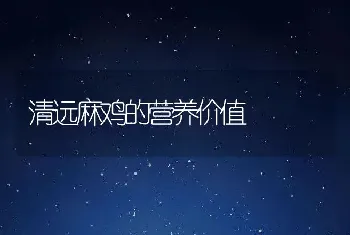 清远麻鸡的营养价值