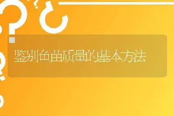 鉴别鱼苗质量的基本方法