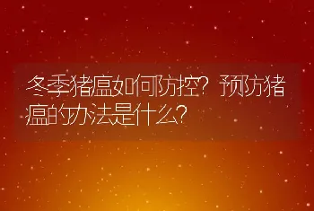 冬季猪瘟如何防控？预防猪瘟的办法是什么？