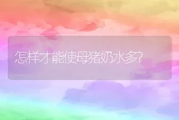 怎样才能使母猪奶水多?