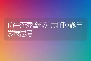 仿生态养鳖应注意的问题与发展思考