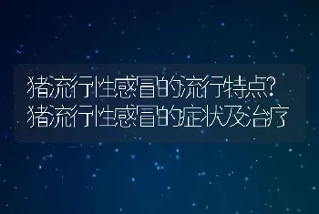 猪流行性感冒的流行特点?猪流行性感冒的症状及治疗