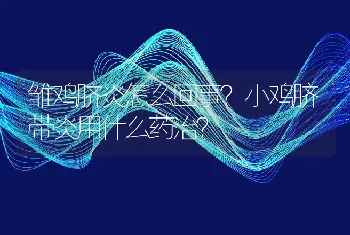 雏鸡脐炎怎么回事？小鸡脐带炎用什么药治？