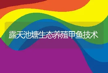 露天池塘生态养殖甲鱼技术