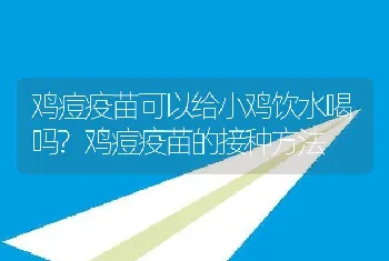 鸡痘疫苗可以给小鸡饮水喝吗?鸡痘疫苗的接种方法