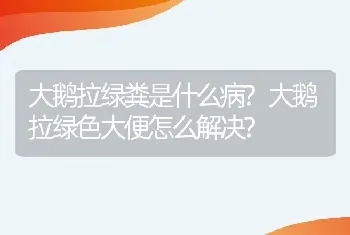 大鹅拉绿粪是什么病?大鹅拉绿色大便怎么解决?