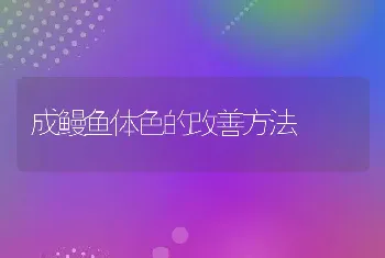 成鳗鱼体色的改善方法