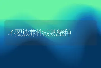 不要放养性成熟蟹种