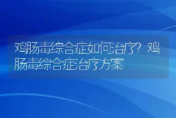 鸡肠毒综合症如何治疗？鸡肠毒综合症治疗方案