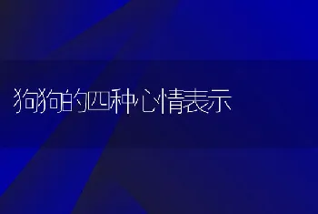 狗狗的四种心情表示