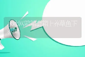 水库网箱箱套箱上养草鱼下养鳙