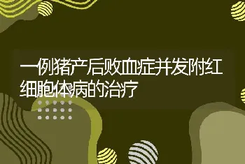 一例猪产后败血症并发附红细胞体病的治疗